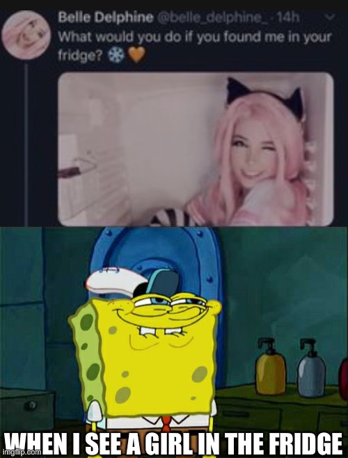 When you see it | WHEN I SEE A GIRL IN THE FRIDGE | image tagged in belle delphine,memes,don't you squidward,fridge | made w/ Imgflip meme maker