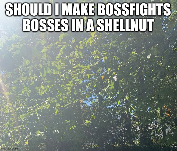 SHOULD I MAKE BOSSFIGHTS BOSSES IN A SHELLNUT | made w/ Imgflip meme maker