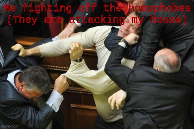 Fight | Me fighting off the homophobes (They are attacking my house) | image tagged in fight | made w/ Imgflip meme maker