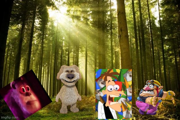 sunlit forest | image tagged in sunlit forest | made w/ Imgflip meme maker
