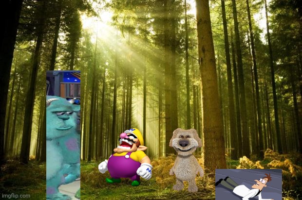 sunlit forest | image tagged in sunlit forest | made w/ Imgflip meme maker