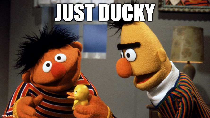 Ernie and Bert discuss Rubber Duckie | JUST DUCKY | image tagged in ernie and bert discuss rubber duckie | made w/ Imgflip meme maker