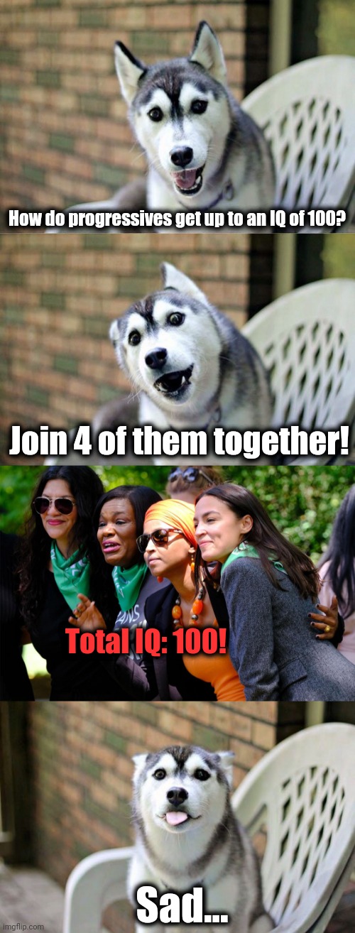 Bad pun dog 2 | How do progressives get up to an IQ of 100? Join 4 of them together! Total IQ: 100! Sad... | image tagged in memes,progressives,democrats,iq,100,bad pun dog 2 | made w/ Imgflip meme maker