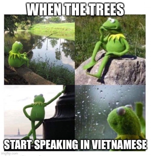 Battle of Dien Bien Phu | WHEN THE TREES; START SPEAKING IN VIETNAMESE | image tagged in kermit ptsd,french,foreign legion | made w/ Imgflip meme maker