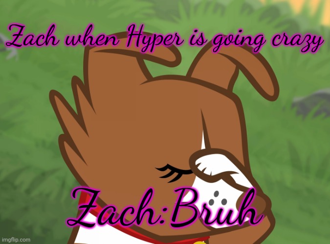 Bruh | Zach when Hyper is going crazy; Zach:Bruh | image tagged in winona facepaw mlp | made w/ Imgflip meme maker
