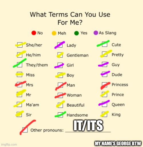 Pronouns Sheet | IT/ITS; MY NAME’S GEORGE BTW | image tagged in pronouns sheet | made w/ Imgflip meme maker