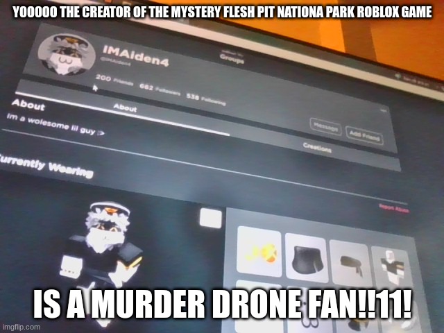 OH MY GOD THE ULTIMATE PROPHECY | YOOOOO THE CREATOR OF THE MYSTERY FLESH PIT NATIONA PARK ROBLOX GAME; IS A MURDER DRONE FAN!!11! | image tagged in murder drones,roblox,mystery flesh pit national park | made w/ Imgflip meme maker