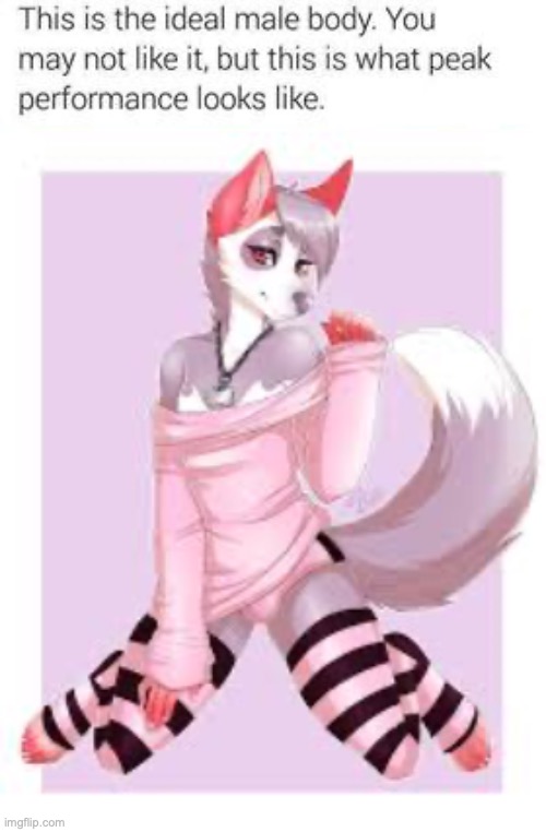 it's that time again | image tagged in femboy furry | made w/ Imgflip meme maker