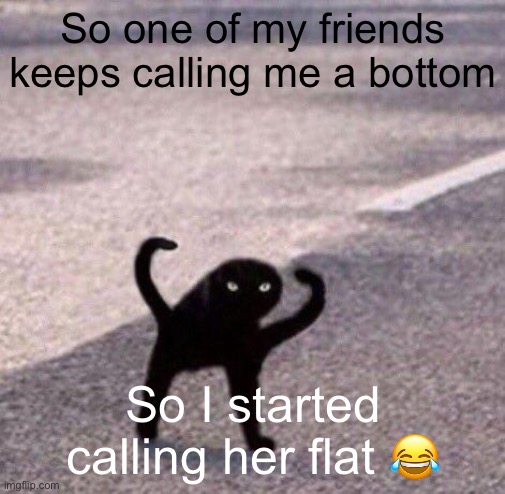 Cursed cat temp | So one of my friends keeps calling me a bottom; So I started calling her flat 😂 | image tagged in cursed cat temp | made w/ Imgflip meme maker