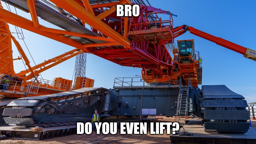 There is a fat joke weighting to get out here too. Bro weighs many tons. | BRO; DO YOU EVEN LIFT? | image tagged in crane | made w/ Imgflip meme maker