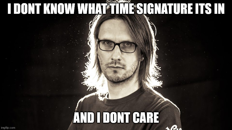 Music life with Steven Wilson | I DONT KNOW WHAT TIME SIGNATURE ITS IN; AND I DONT CARE | image tagged in steven wilson,prog,procupine tree | made w/ Imgflip meme maker