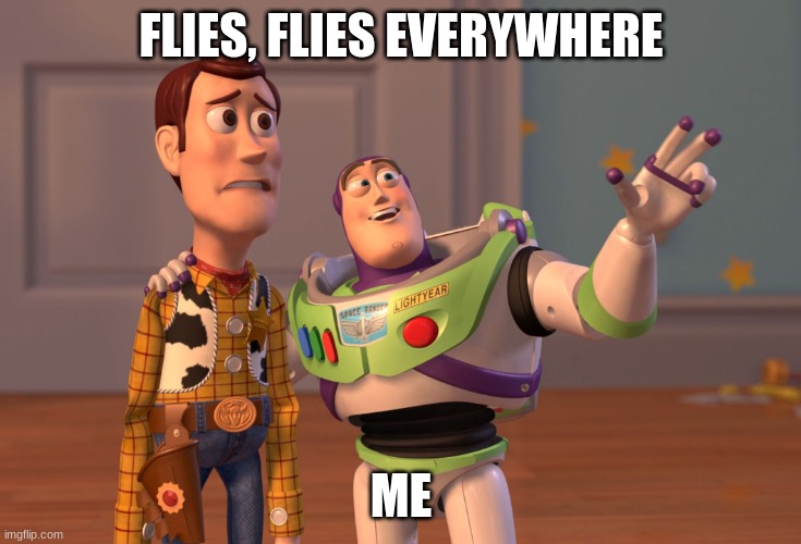 X, X Everywhere Meme | FLIES, FLIES EVERYWHERE; ME | image tagged in memes,x x everywhere | made w/ Imgflip meme maker