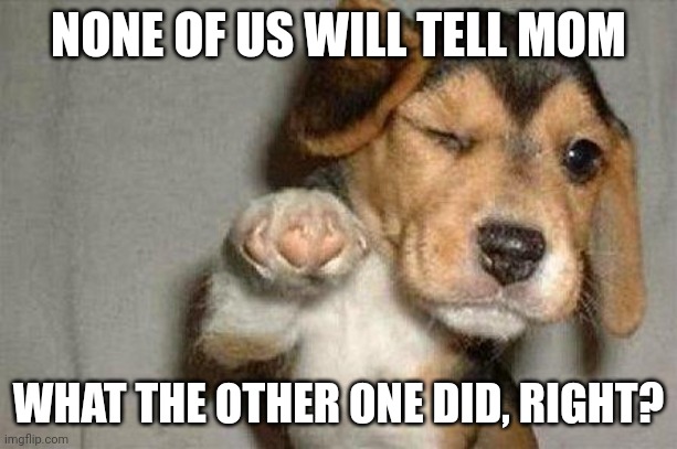Awesome Dog | NONE OF US WILL TELL MOM; WHAT THE OTHER ONE DID, RIGHT? | image tagged in awesome dog | made w/ Imgflip meme maker