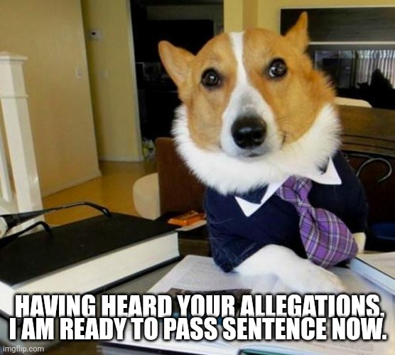 Lawyer Corgi Dog | I AM READY TO PASS SENTENCE NOW. HAVING HEARD YOUR ALLEGATIONS, | image tagged in lawyer corgi dog | made w/ Imgflip meme maker