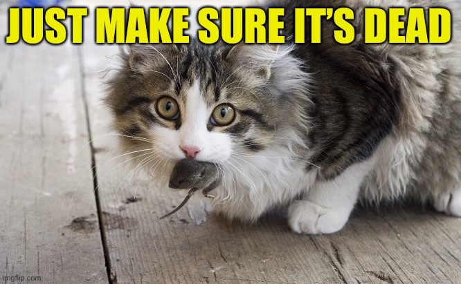 Cat With Mouse | JUST MAKE SURE IT’S DEAD | image tagged in cat with mouse | made w/ Imgflip meme maker