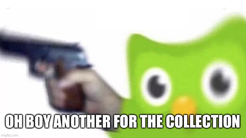 duolingo gun | OH BOY ANOTHER FOR THE COLLECTION | image tagged in duolingo gun | made w/ Imgflip meme maker