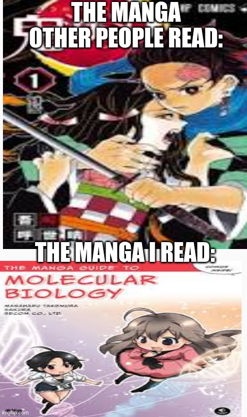 true | THE MANGA OTHER PEOPLE READ:; THE MANGA I READ: | image tagged in anime | made w/ Imgflip meme maker