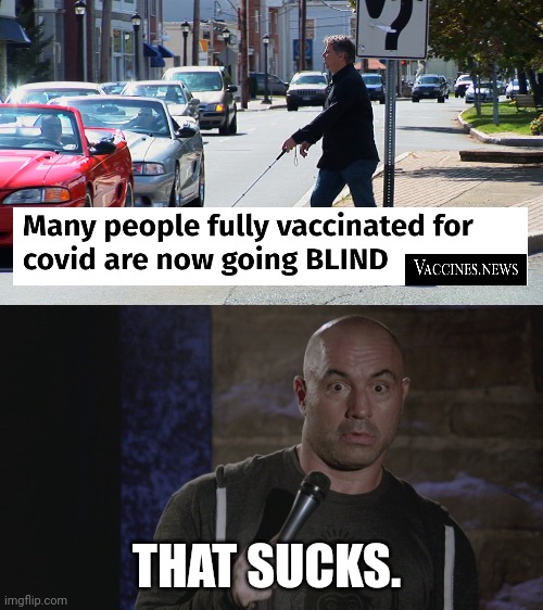 Sucks big time. | THAT SUCKS. | image tagged in joe rogan damn | made w/ Imgflip meme maker