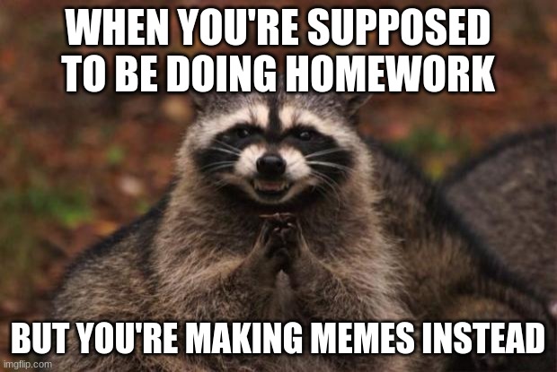 evil genius racoon | WHEN YOU'RE SUPPOSED TO BE DOING HOMEWORK; BUT YOU'RE MAKING MEMES INSTEAD | image tagged in evil genius racoon | made w/ Imgflip meme maker