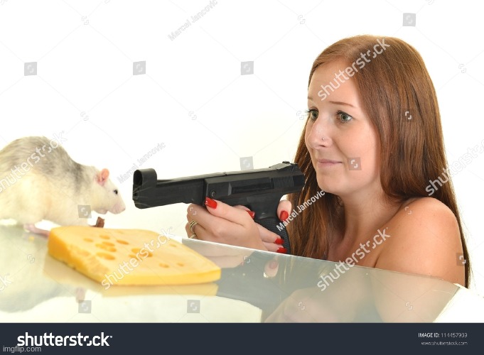 "Don't touch my mother f----ing cheese, rat!" - Girl with a Gun | made w/ Imgflip meme maker