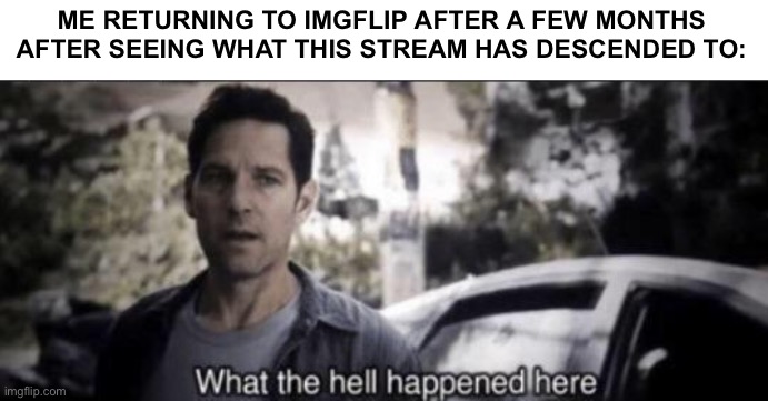 So, tell me where it all went wrong. | ME RETURNING TO IMGFLIP AFTER A FEW MONTHS AFTER SEEING WHAT THIS STREAM HAS DESCENDED TO: | image tagged in what the hell happened here | made w/ Imgflip meme maker