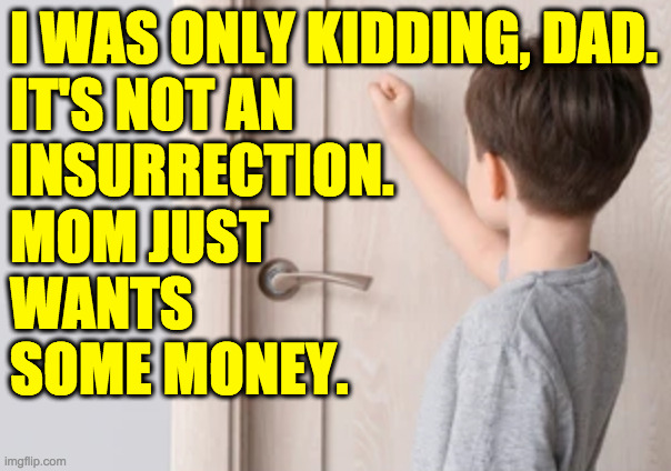 The template is called Ted Cruz' closet  ( : | I WAS ONLY KIDDING, DAD.
IT'S NOT AN
INSURRECTION.
MOM JUST
WANTS
SOME MONEY. | image tagged in ted cruz' closet,memes | made w/ Imgflip meme maker