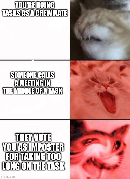 I hate when this happens | YOU'RE DOING TASKS AS A CREWMATE; SOMEONE CALLS A MEETING IN THE MIDDLE OF A TASK; THEY VOTE YOU AS IMPOSTER FOR TAKING TOO LONG ON THE TASK | image tagged in crying cats | made w/ Imgflip meme maker