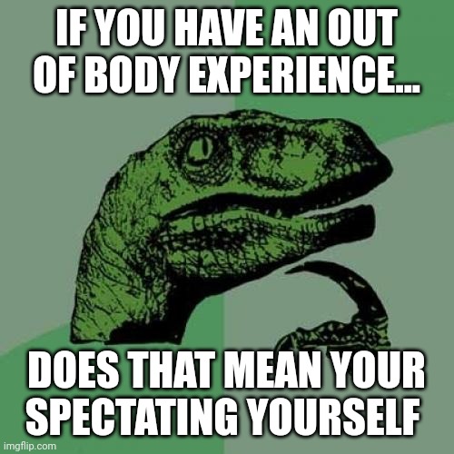 Hmmm | IF YOU HAVE AN OUT OF BODY EXPERIENCE... DOES THAT MEAN YOUR SPECTATING YOURSELF | image tagged in memes,philosoraptor | made w/ Imgflip meme maker