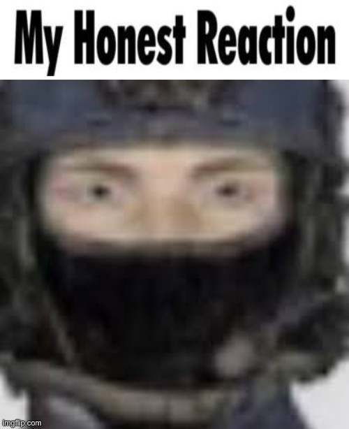Give context: | image tagged in my honest reaction cropped,epsilon-11 staring | made w/ Imgflip meme maker