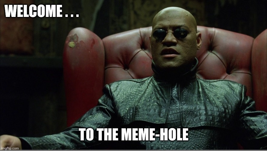 Welcome to the MEME-HOLE | WELCOME . . . TO THE MEME-HOLE | image tagged in welcome to the matrix | made w/ Imgflip meme maker