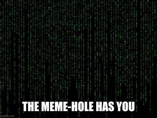 The MEME-HOLE HAS YOU | THE MEME-HOLE HAS YOU | image tagged in matrix screen neoliberalism,welcome to the matrix | made w/ Imgflip meme maker