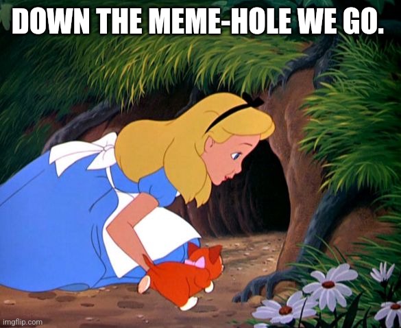 Down the meme-hole we go. | DOWN THE MEME-HOLE WE GO. | image tagged in alice looking down the rabbit hole,memes,rock bottom | made w/ Imgflip meme maker