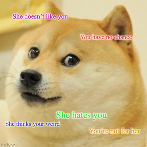 Every gamer when thinking about their crush | She doesn’t like you; You have no chance; She hates you; She thinks your weird; You’re not for her | image tagged in memes,doge | made w/ Imgflip meme maker