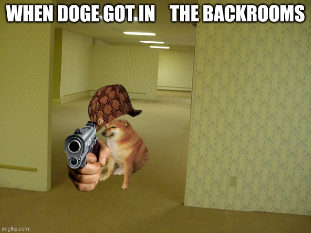 The Backrooms | WHEN DOGE GOT IN    THE BACKROOMS | image tagged in the backrooms | made w/ Imgflip meme maker