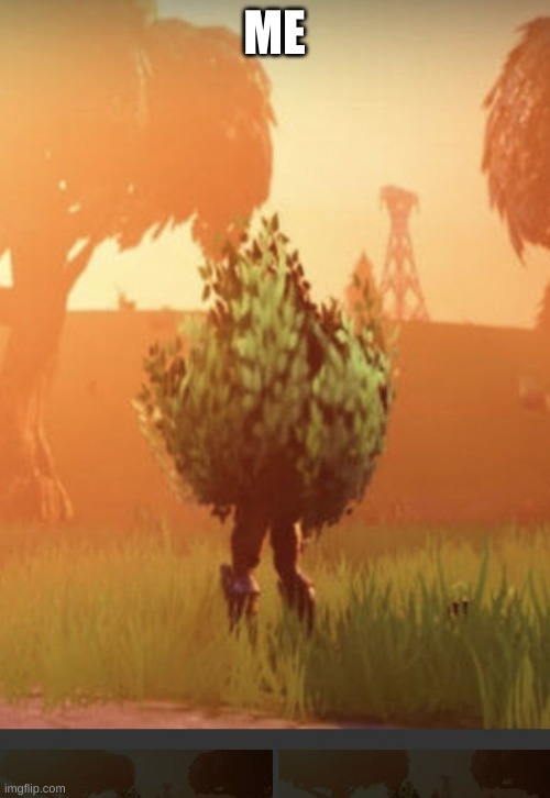 Fortnite bush | ME | image tagged in fortnite bush | made w/ Imgflip meme maker