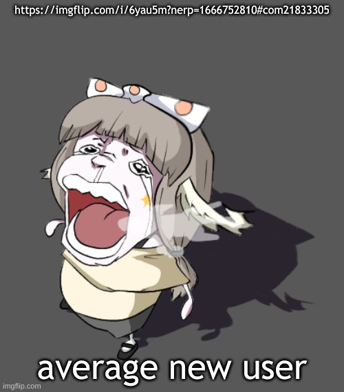 Quandria crying | https://imgflip.com/i/6yau5m?nerp=1666752810#com21833305; average new user | image tagged in quandria crying | made w/ Imgflip meme maker