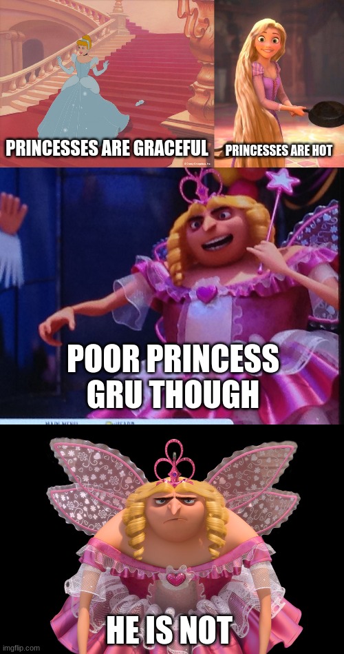 PRINCESSES ARE GRACEFUL; PRINCESSES ARE HOT; POOR PRINCESS GRU THOUGH; HE IS NOT | image tagged in princess gru,funny,funny memes,funny meme,lol so funny | made w/ Imgflip meme maker