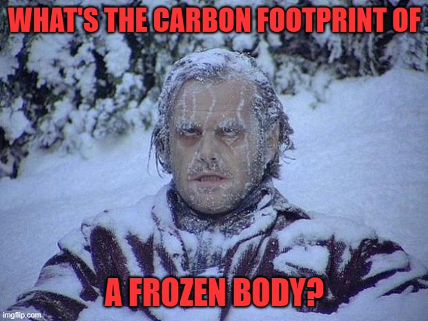 Jack Nicholson The Shining Snow Meme | WHAT'S THE CARBON FOOTPRINT OF A FROZEN BODY? | image tagged in memes,jack nicholson the shining snow | made w/ Imgflip meme maker