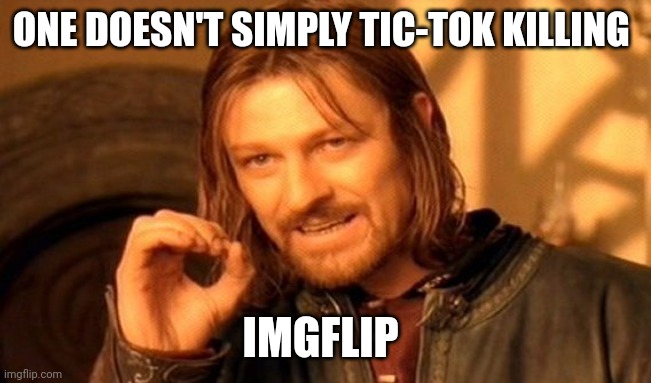 One Does Not Simply Meme | ONE DOESN'T SIMPLY TIC-TOK KILLING IMGFLIP | image tagged in memes,one does not simply | made w/ Imgflip meme maker