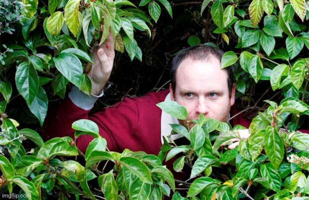 Stalker in Bushes | image tagged in stalker in bushes | made w/ Imgflip meme maker