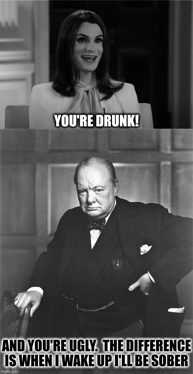 YOU'RE DRUNK! AND YOU'RE UGLY.  THE DIFFERENCE IS WHEN I WAKE UP I'LL BE SOBER | made w/ Imgflip meme maker