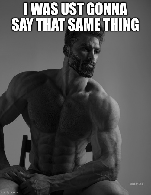 Giga Chad | I WAS JUST GONNA SAY THAT SAME THING | image tagged in giga chad | made w/ Imgflip meme maker