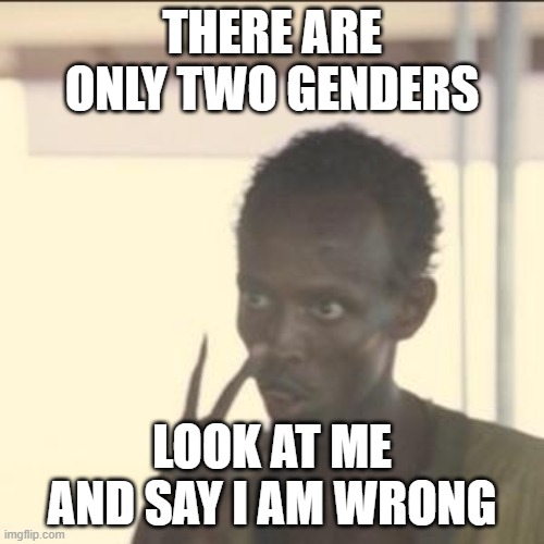 Look At Me Meme | THERE ARE ONLY TWO GENDERS; LOOK AT ME AND SAY I AM WRONG | image tagged in memes,look at me | made w/ Imgflip meme maker