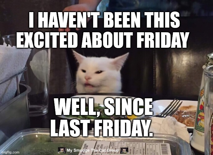 I HAVEN'T BEEN THIS EXCITED ABOUT FRIDAY; WELL, SINCE LAST FRIDAY. | image tagged in smudge the cat | made w/ Imgflip meme maker