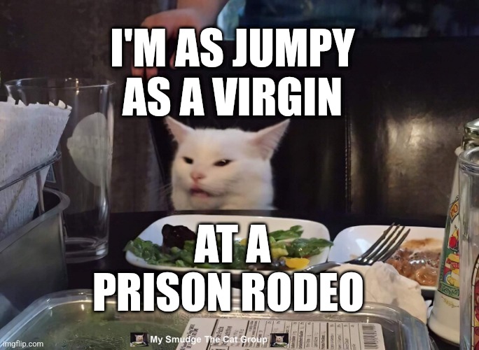 I'M AS JUMPY AS A VIRGIN; AT A PRISON RODEO | image tagged in smudge the cat | made w/ Imgflip meme maker