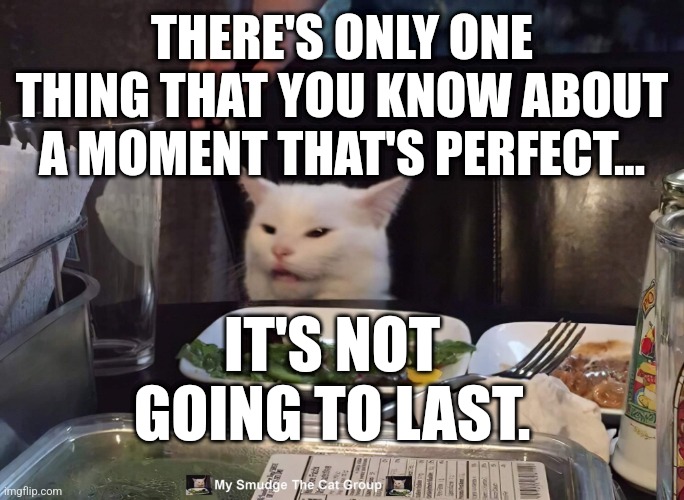 THERE'S ONLY ONE THING THAT YOU KNOW ABOUT A MOMENT THAT'S PERFECT... IT'S NOT GOING TO LAST. | image tagged in smudge the cat | made w/ Imgflip meme maker