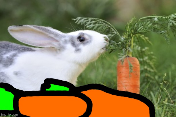 Rabbit eating a Carrot | image tagged in rabbit eating a carrot | made w/ Imgflip meme maker