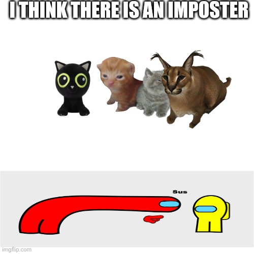 There is an imposter | I THINK THERE IS AN IMPOSTER | image tagged in memes,blank transparent square,cats | made w/ Imgflip meme maker