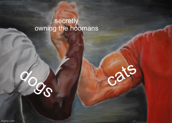 the one thing they can ally upon | secretly owning the hoomans; cats; dogs | image tagged in memes,epic handshake | made w/ Imgflip meme maker