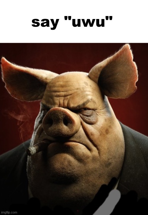 hyper realistic picture of a more average looking pig smoking | say "uwu" | image tagged in hyper realistic picture of a more average looking pig smoking | made w/ Imgflip meme maker